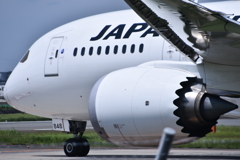 JAL 733