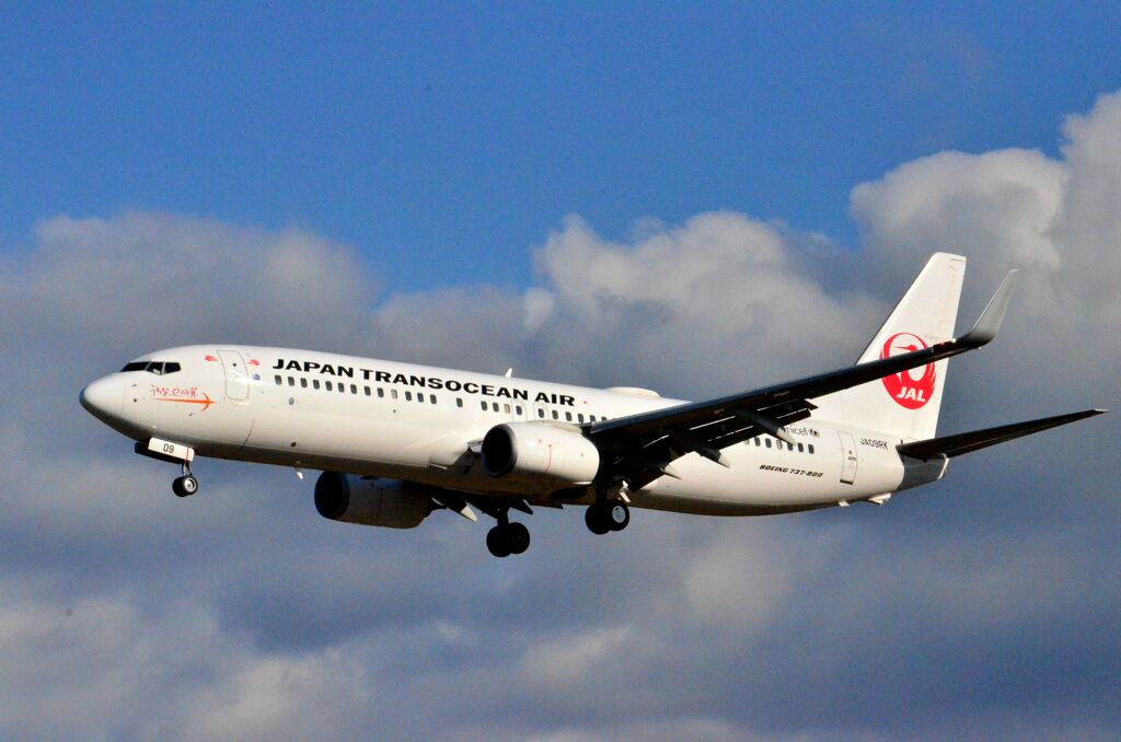 JAL 79