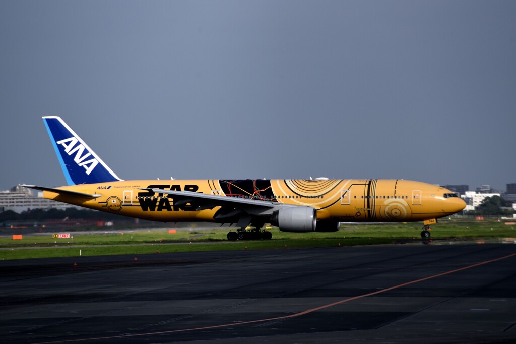 ANA 1110