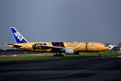 ANA 1110