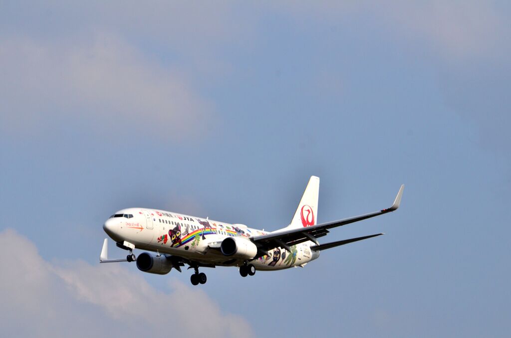 JAL 395