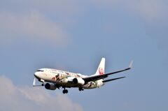 JAL 395