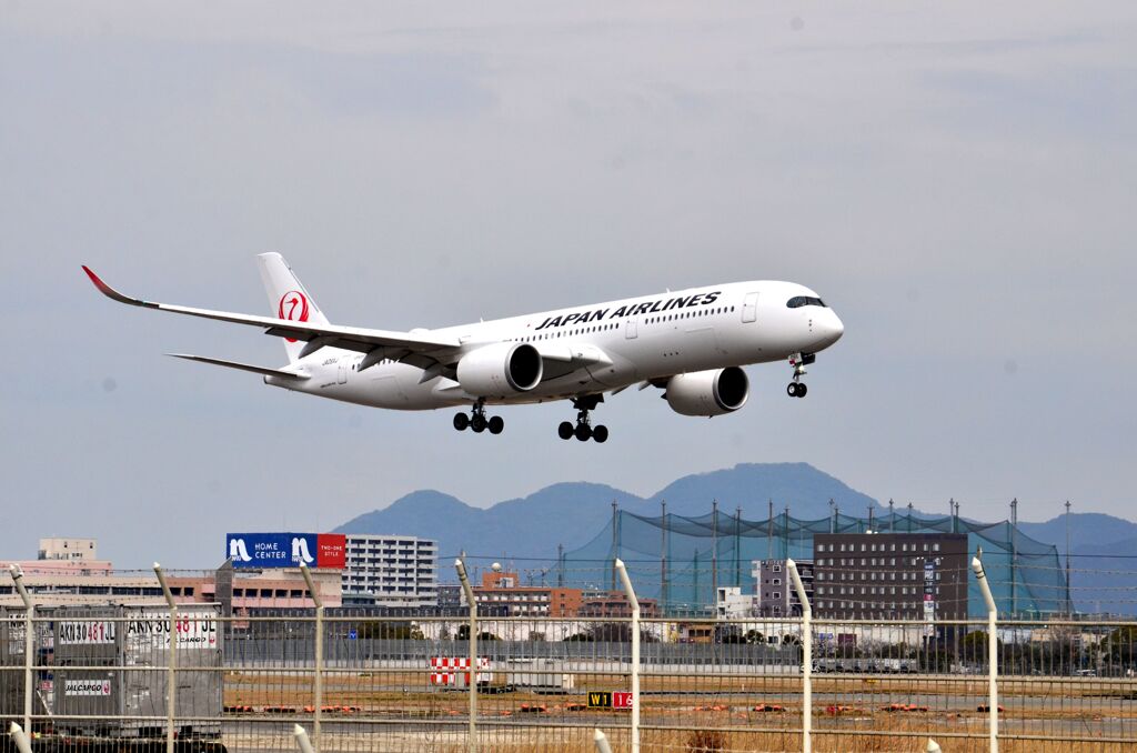 JAL 554