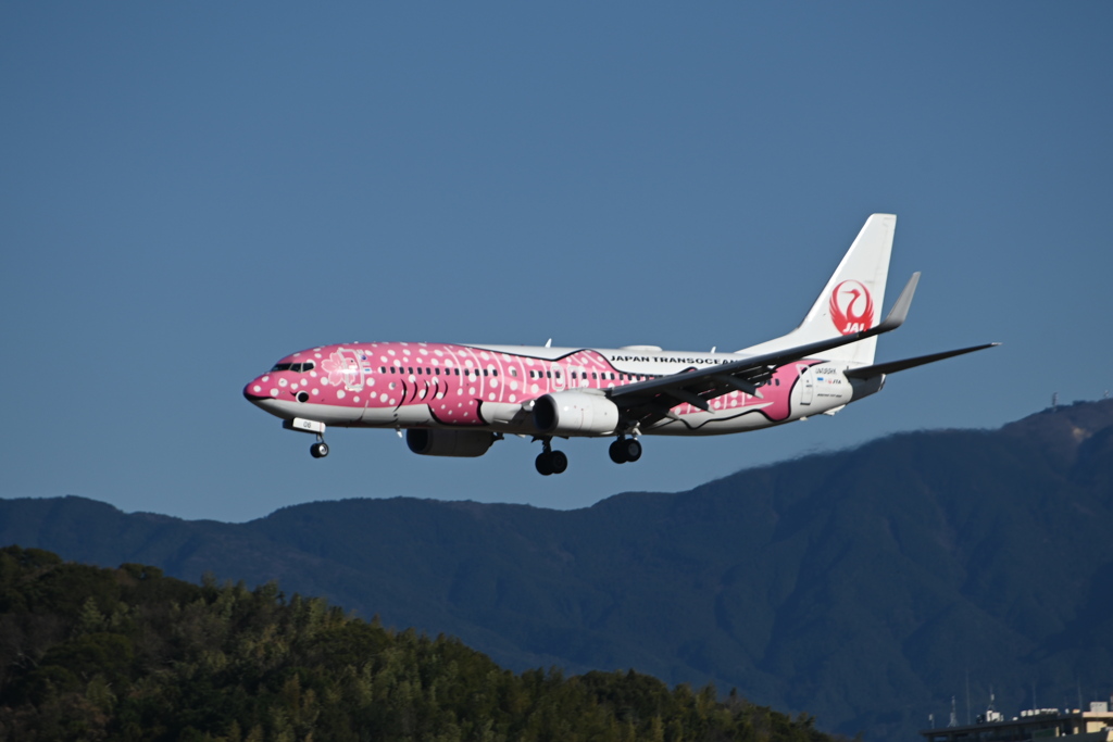 「初撮り2026」（JAL1375）