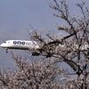 「2025桜 」10          JAL 1273