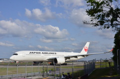 JAL 118