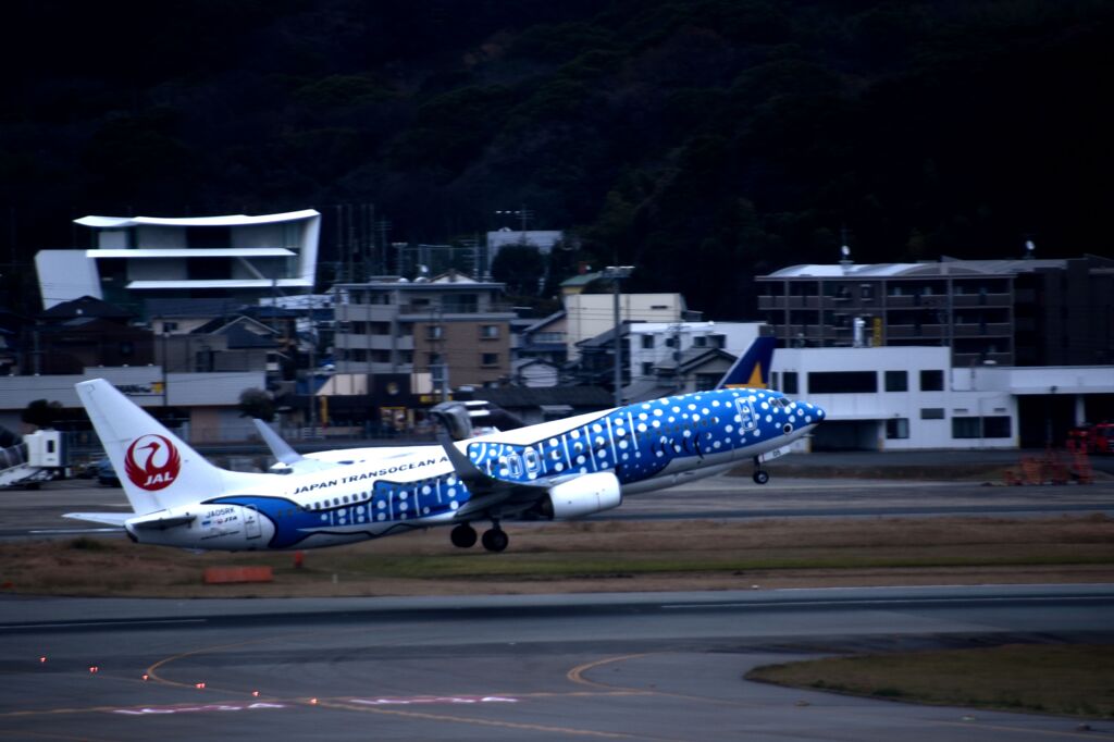 JAL 1130