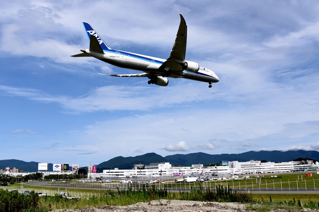 ANA 981