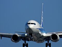ANA 1306