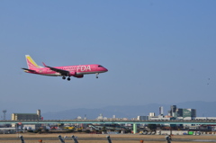 FDA 177