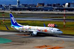 ANA 267  （特別塗装機）