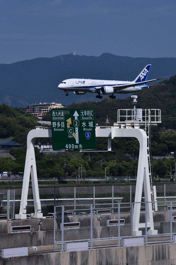 ANA 529