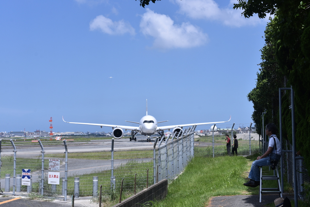 JAL 1013