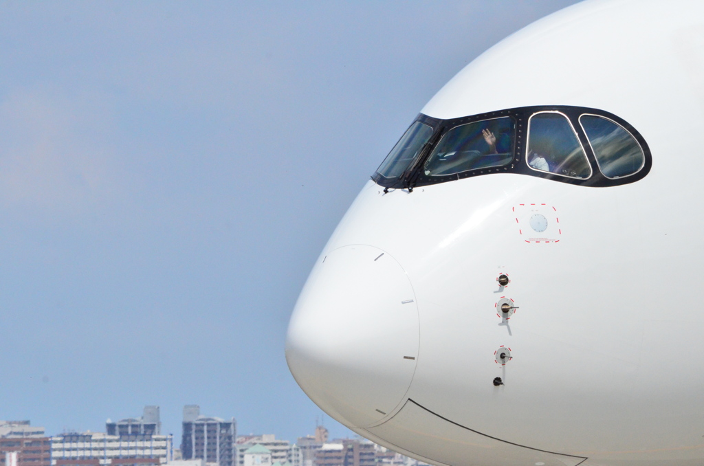 JAL 135