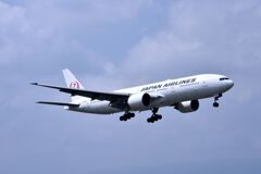 JAL 591