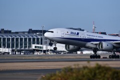 ANA 787