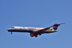 ANA 456