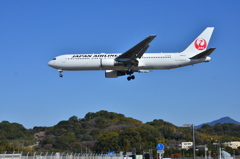 JAL 491