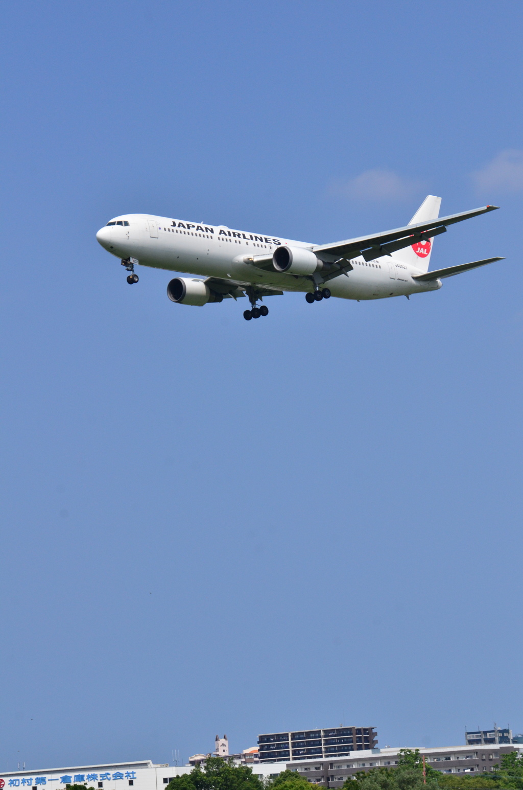 JAL 169