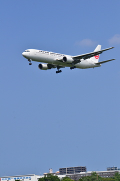 JAL 169