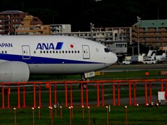 ANA 1287