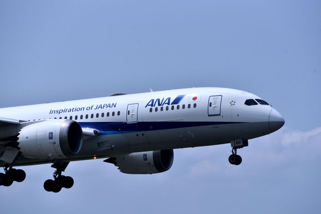 ANA 956