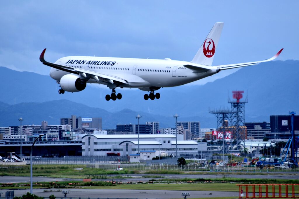 JAL 736