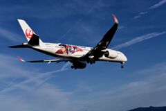 JAL 1298「DREAM　SHOJET」07