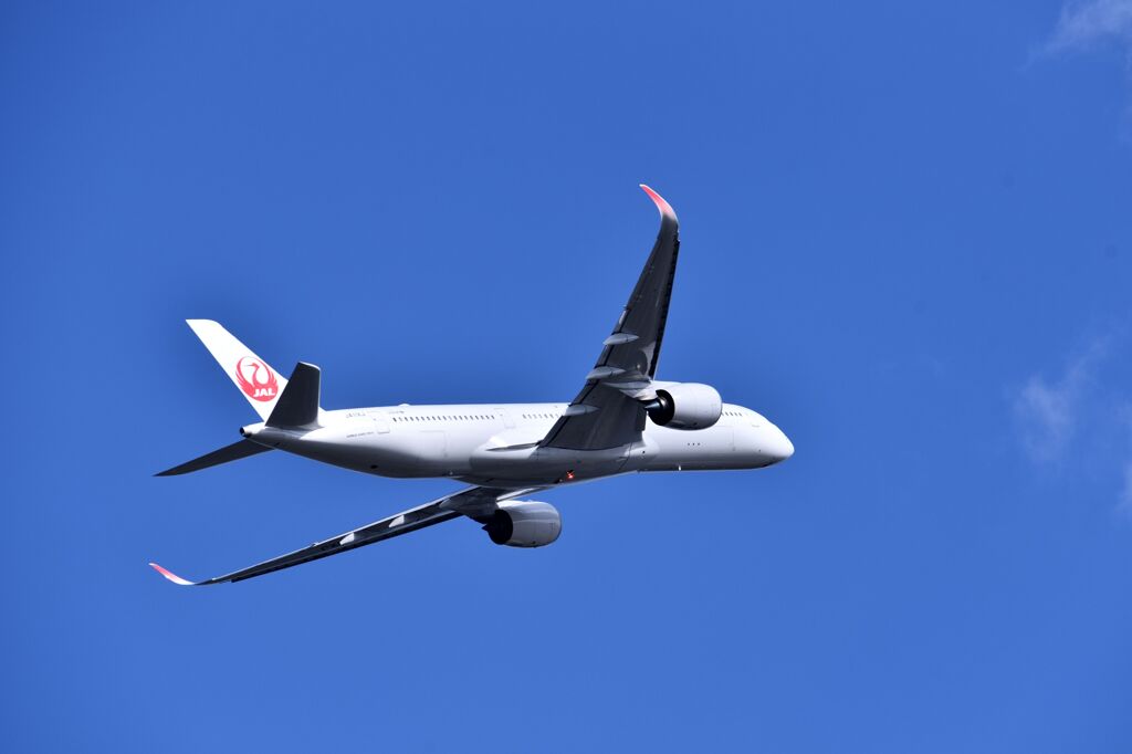 JAL 781