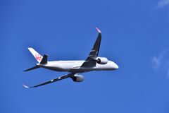 JAL 781