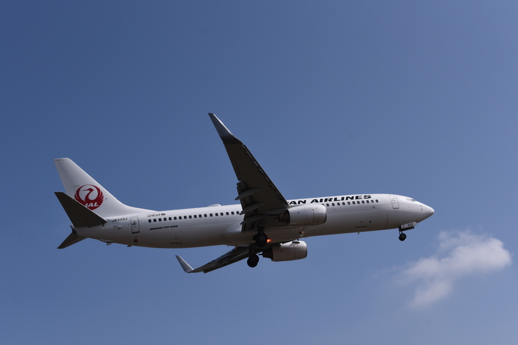 JAL 1265   日本航空     Boeing 737-800