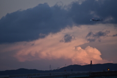 JAL 1022