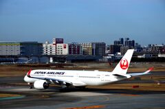 JAL 482