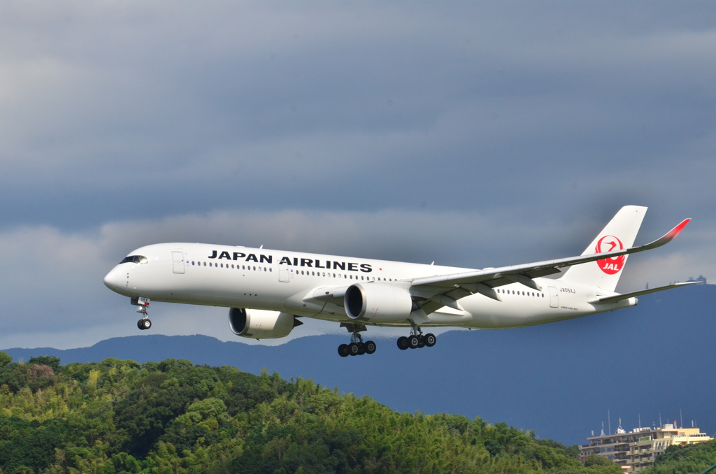 JAL 253