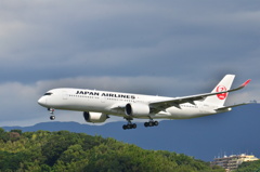 JAL 253