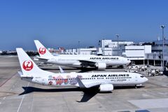 JAL 774