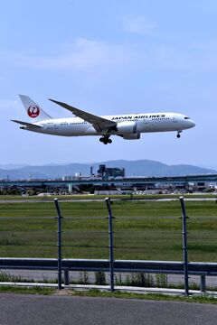 JAL 567