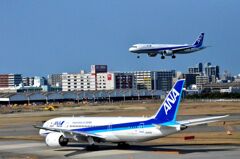 ANA 99