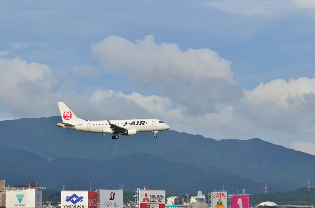 JAL 31