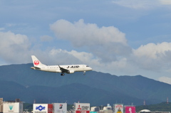 JAL 31