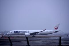 JAL 1098       「雪」