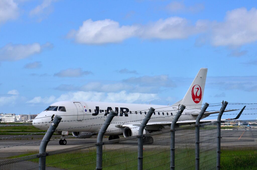 JAL 286