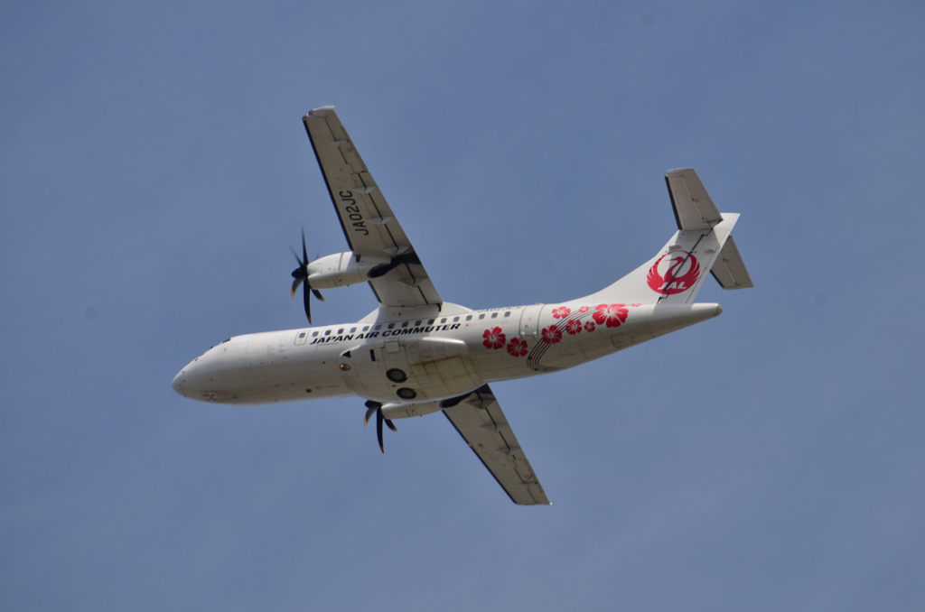 JAL 574