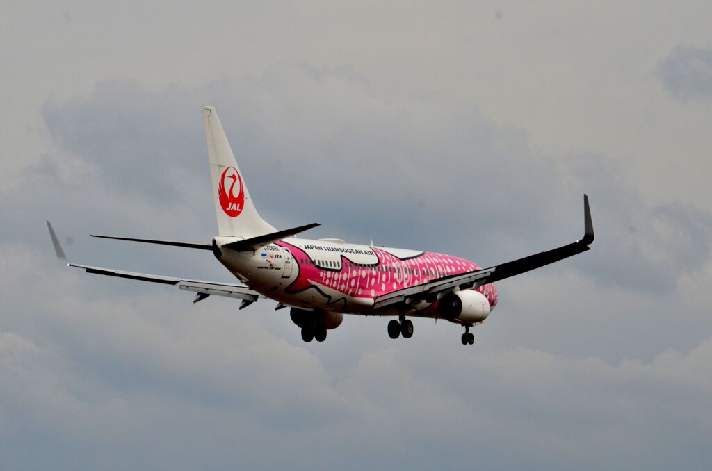 JAL 539