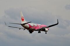 JAL 539