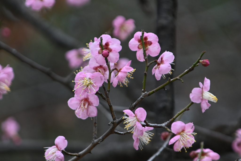 「 私を愛してくれますか？」