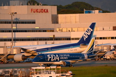 FDA 309