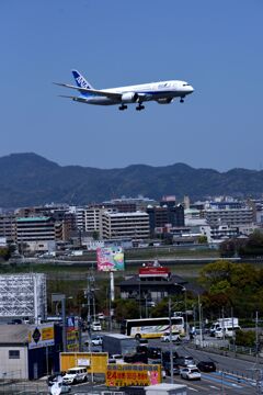 ANA 491