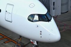 JAL 321