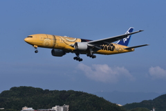 ANA 925
